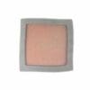 1098981-2-800Wx800H TWIN AIR Luchtfilter voor PowerFlow kit 797550 - 156141FR Polaris Predator 500
