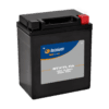 1105549-1-800Wx800H TECNIUM Factory-Activated Battery BTX7L (FA)