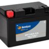 1105552-1-800Wx800H TECNIUM Factory-Activated Battery BT12A (FA)