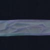 1106936-2-800Wx800H R&G RACING Second Skin - Transparent Triumph Tiger