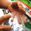 1113941-4-800Wx800H R&G RACING Second Skin Transparent - Kawasaki ZH2 2020