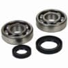 PROX Crankshaft Bearing & Oil Seal Kit - Beta RR Enduro 4T