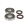 PROX Crankshaft Bearing & Oil Seal Kit