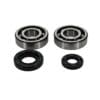 PROX Crankshaft Bearing & Oil Seal Kit - Yamaha YZ250 / YZ250X
