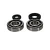 PROX Crankshaft Bearing & Oil Seal Kit - Yamaha YZ250 / YZ250X