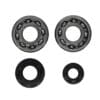 PROX Crankshaft Bearing & Oil Seal Kit - Yamaha YZ250 / YZ250X