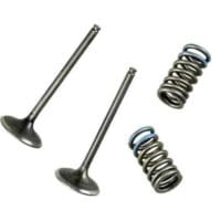 1117663-1-800Wx800H WÖSSNER Intake Valve Steel