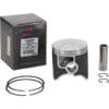 1117733003-1-800Wx800H VERTEX Replica Casted Piston