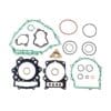 800Wx800H-1002166-1 CENTAURO Complete pakkingset voor motor - keerringen niet inbegrepen