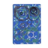 800Wx800H-1002176-2 CENTAURO Complete pakkingset voor motor - keerringen niet inbegrepen