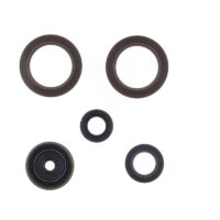 800Wx800H-1003313-1 CENTAURO Keerringen set