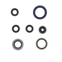 800Wx800H-1003395-1 CENTAURO Keerringen set