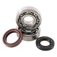 800Wx800H-1006872-1 HOT RODS Krukaslager & keerringset