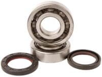 800Wx800H-1006880-1 HOT RODS Krukaslager & keerringset