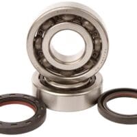 800Wx800H-1006880-1 HOT RODS Krukaslager & keerringset
