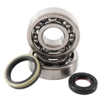 800Wx800H-1006885-1 HOT RODS Krukaslager & keerringset