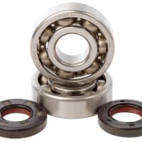 800Wx800H-1006888-1 HOT RODS Krukaslager & keerringset