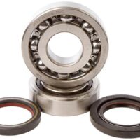 800Wx800H-1006890-1 HOT RODS Krukaslager & keerringset