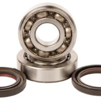 800Wx800H-1006894-1 HOT RODS Krukaslager & keerringset