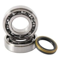 800Wx800H-1006896-1 HOT RODS Krukaslager & keerringset