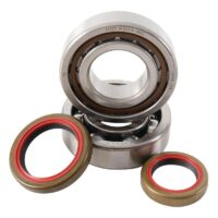 800Wx800H-1006902-1 HOT RODS Krukaslager & keerringset