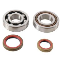 800Wx800H-1006902-2 HOT RODS Krukaslager & keerringset