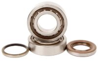 800Wx800H-1006904-1 HOT RODS Krukaslager & keerringset