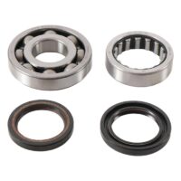 800Wx800H-1006907-2 HOT RODS Krukaslager & keerringset