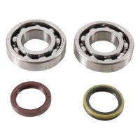 800Wx800H-1006908-2 HOT RODS Krukaslager & keerringset