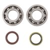 800Wx800H-1006908-3 HOT RODS Krukaslager & keerringset