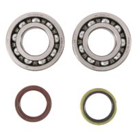 800Wx800H-1006908-3 HOT RODS Krukaslager & keerringset