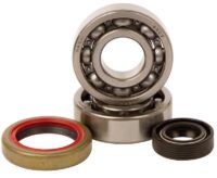 800Wx800H-1006911-1 HOT RODS Krukaslager & keerringset
