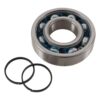 800Wx800H-1006912-1 HOT RODS Krukaslager & keerringset