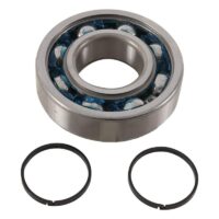 800Wx800H-1006912-2 HOT RODS Krukaslager & keerringset