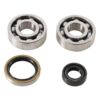 800Wx800H-1006913-2 HOT RODS Krukaslager & keerringset
