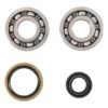 800Wx800H-1006913-3 HOT RODS Krukaslager & keerringset