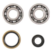 800Wx800H-1006913-3 HOT RODS Krukaslager & keerringset