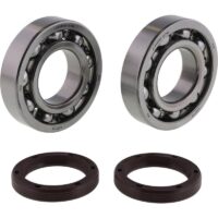800Wx800H-1006916-2 HOT RODS Krukaslager & keerringset