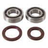 800Wx800H-1006917-2 HOT RODS Krukaslager & keerringset