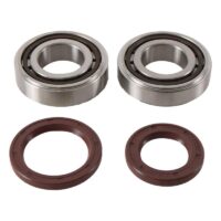 800Wx800H-1006917-2 HOT RODS Krukaslager & keerringset