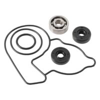800Wx800H-1006969-2 HOT RODS Waterpomp revisieset