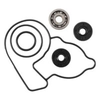 800Wx800H-1006969-3 HOT RODS Waterpomp revisieset