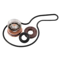 800Wx800H-1006988-1 HOT RODS Waterpomp revisieset - Polaris
