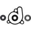 800Wx800H-1006989-1 HOT RODS Waterpomp revisieset - Suzuki RM125