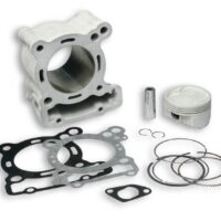800Wx800H-1007670-1 MALOSSI H2O cilinderkit - Ø67mm