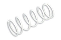 800Wx800H-1007969-1 MALOSSI Versterkte Drukveer Honda PCX/FES 125