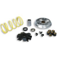 800Wx800H-1007985-1 MALOSSI Multivar Variateur