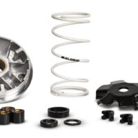 800Wx800H-1008002-1 MALOSSI Multivar 2000 Variateur