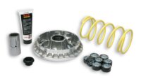 800Wx800H-1008021-1 MALOSSI Multivar 2000 Variateur