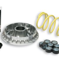 800Wx800H-1008021-1 MALOSSI Multivar 2000 Variateur